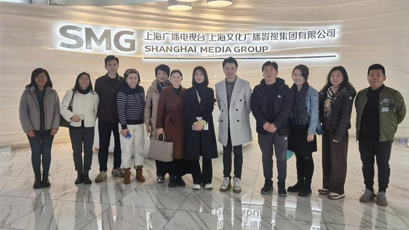 MG动画与Flash：动画制作中的双剑客，如何选择？**