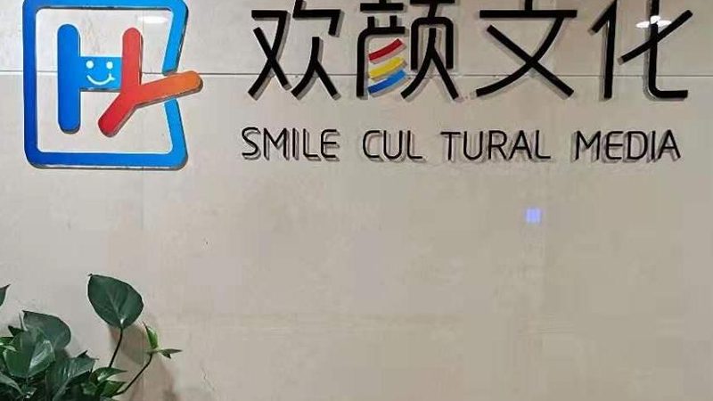 MG动画：收费标准背后的考量因素**